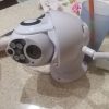 WLSES-11