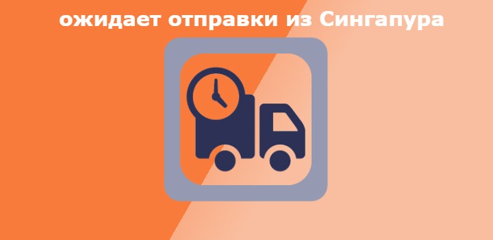 ожидает отправки +из сингапура что значит